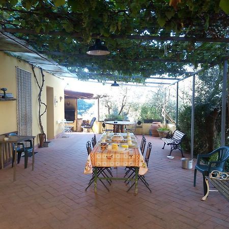 Agriturismo Il Cavallone Villa Montelupo Fiorentino Kültér fotó