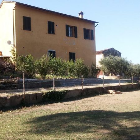 Agriturismo Il Cavallone Villa Montelupo Fiorentino Kültér fotó
