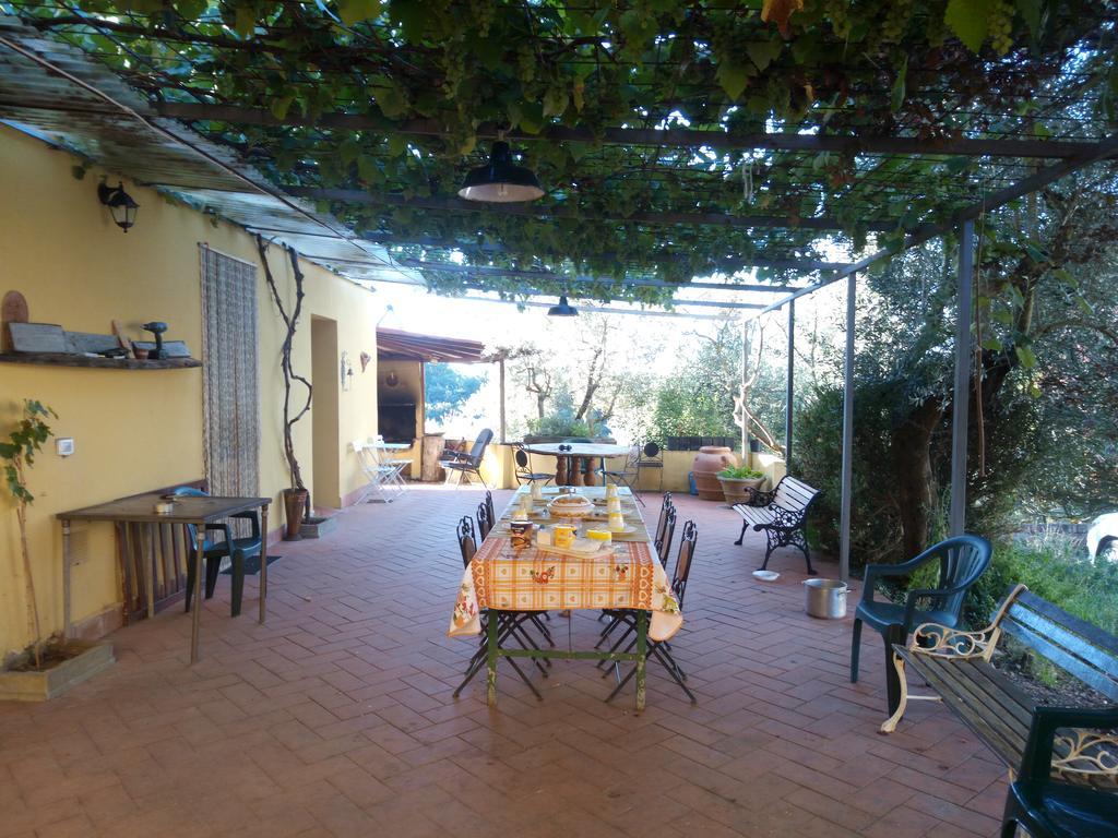 Agriturismo Il Cavallone Villa Montelupo Fiorentino Kültér fotó